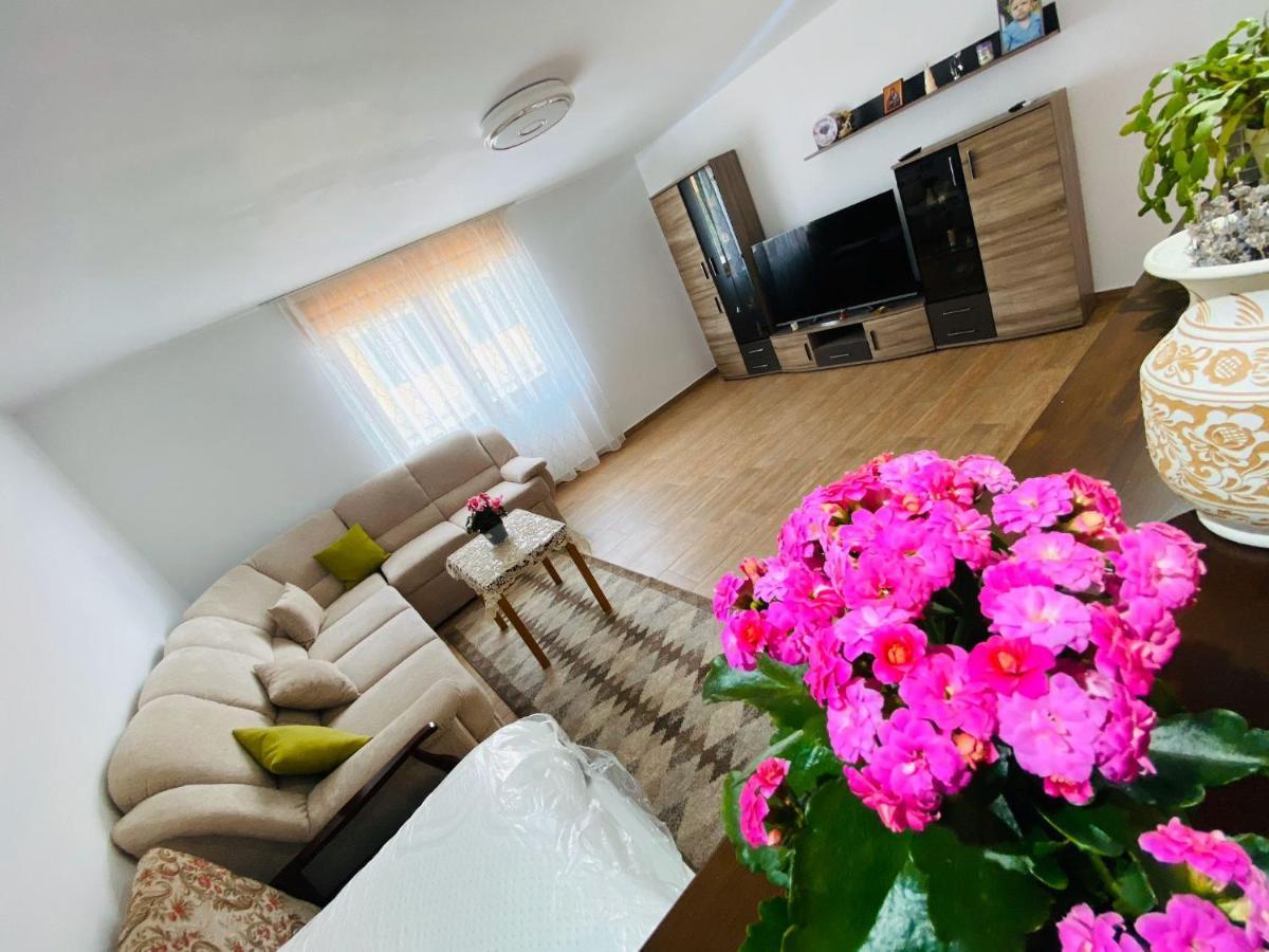 Appartement Andrei'S House à Sibiu Extérieur photo